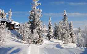 Winterwunderland Norwegen - Foto: Tourismusbüro Valdres